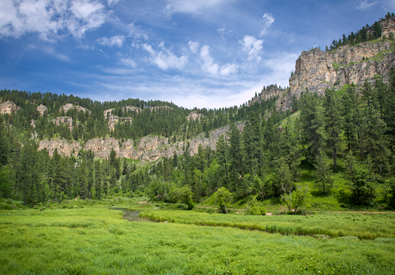 Spearfish Canyon Meadow